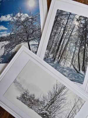 Local Holiday Photography Cards