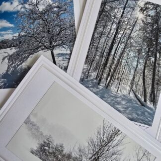 Local Holiday Photography Cards