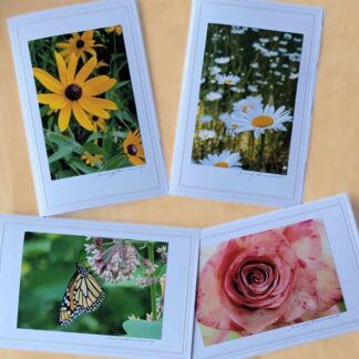 Local Photography Cards