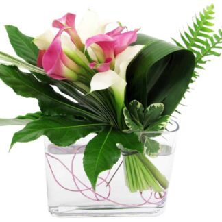 Mini Callas for Mom