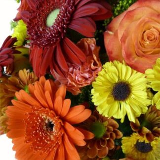 Mixed fall flowers
