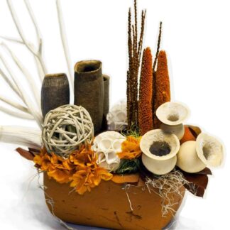 Modern Dried arr
