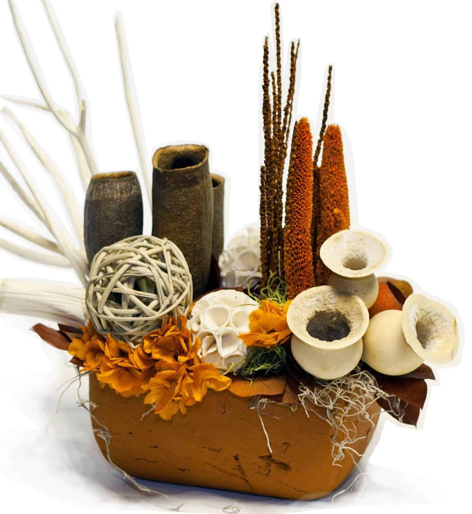 Modern Dried arr