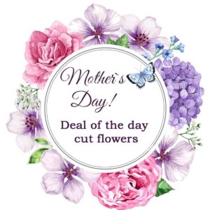 Mother's Day Bouquet