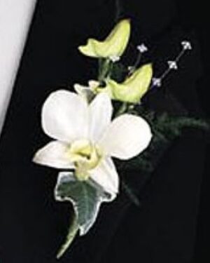 Orchid Boutonnière