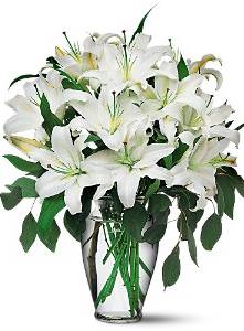 Perfect White Lilies