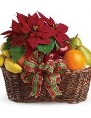Poinsettia fruit & treats