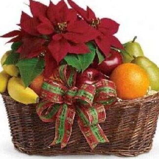 Poinsettia fruit & treats