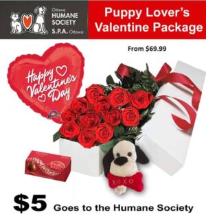 Puppy Lovers Package
