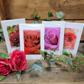 Romance - local photography cards