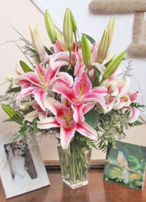 Scent Sational