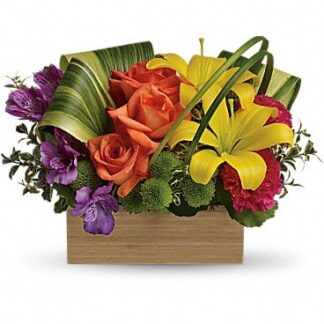 Shades Of Brilliance arrangement