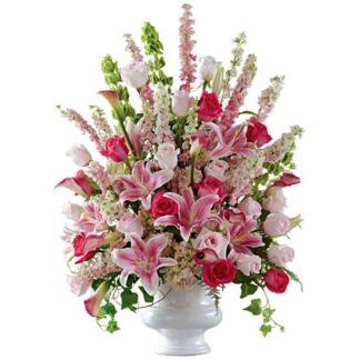Solemnity Arrangement