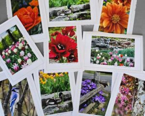 Spring Photography Cards