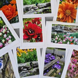 Spring Photography Cards
