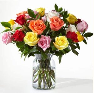 Spring Roses