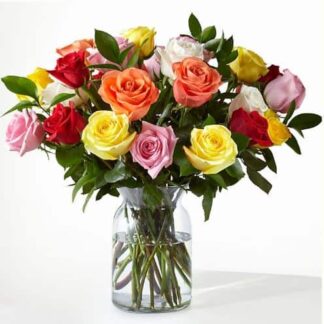 Spring Roses