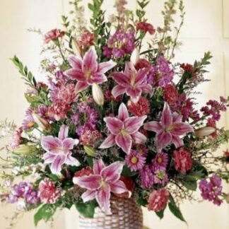 Stargazer Arrangement