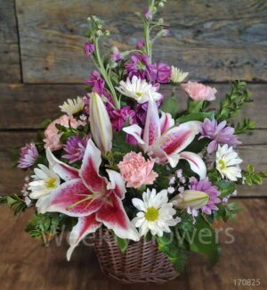 Stargazer Baskets