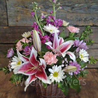 Stargazer Baskets