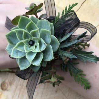 Succulent Corsage and/or Boutonnière