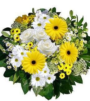 Sunshine Flowers
