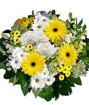 Sunshine Flowers