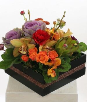 Tropical arrangement