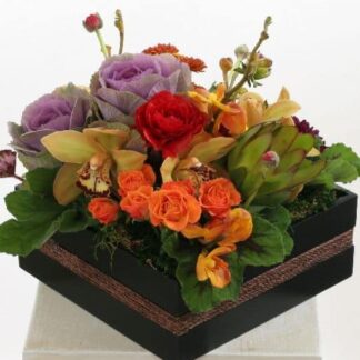 Tropical arrangement