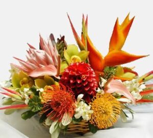 Tropical basket