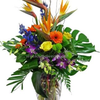 Tropical Blast