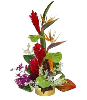 Tropical Splash