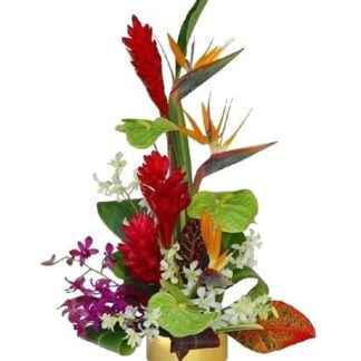 Tropical Splash