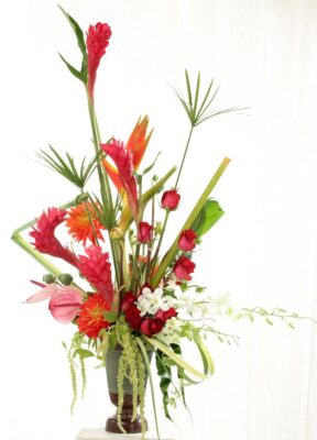 Tropical touch