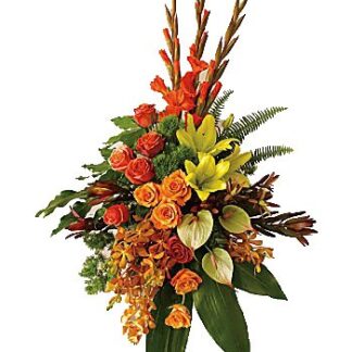Tropical Tribute Spray