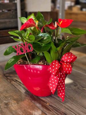 Valentine Planter