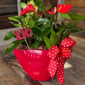 Valentine Planter