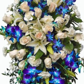 White and Blue Tribute