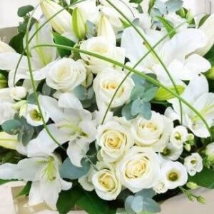 White Purity