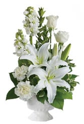White Symplicity