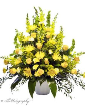 Yellow beauty