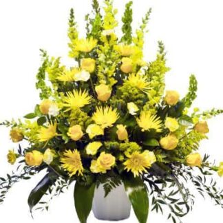 Yellow beauty